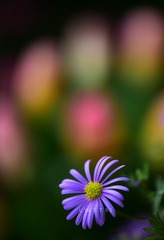 1AE0428A-A1B8-4149-B6D0-BA06060EB96B