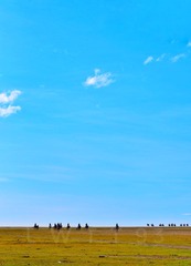 85443E23-B994-46F8-B5CE-746C3CB1F675