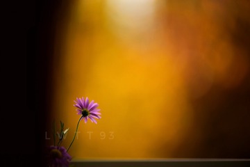 57C0060A-4C57-4F69-990B-7B7903FF25CD