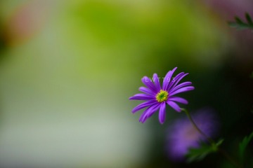 2A5BB9C0-37EE-4F39-BD99-30CFECC4031A