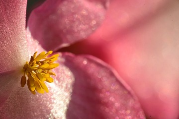 040BD259-B225-4CC4-9E7A-24D9FA483143
