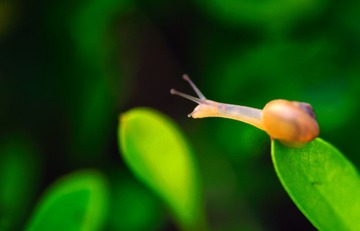 Reaching