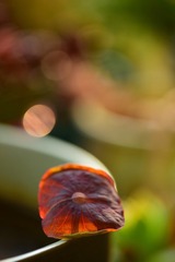 65040100-DD11-4C9F-B78B-3F48C29FBBF4