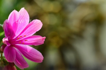 4929835C-2D7C-4D03-B371-42FFCDCA7C48