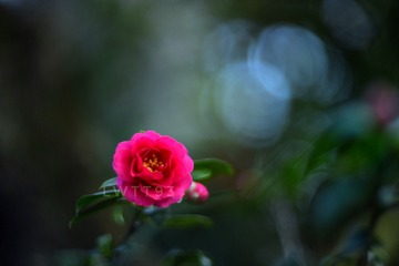 84872677-5E58-48D0-81AB-8560FD603AEE