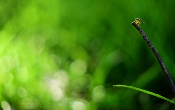 BEE4B2F0-0747-457C-A6B0-7297C713D723