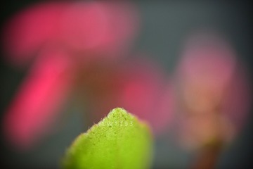 E6FEA0B1-F115-49AD-9F44-942BFFD2F973