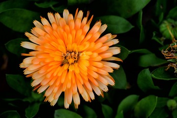 70D89751-73B6-4D54-A424-EFE7BF90EC11