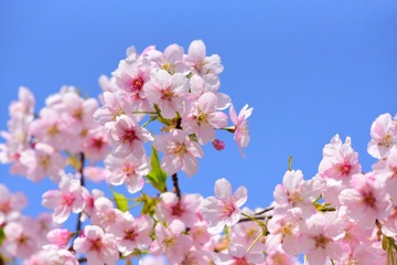 95008C35-1644-4320-84B9-938116057F87