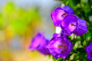 8A5555A7-F0C8-407E-A035-10EAA1DE9442