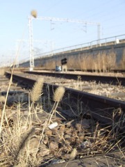 2008年11月28日 