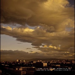 20110603 early morning 3