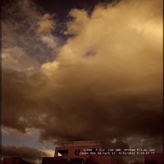 20110603 early morning 4