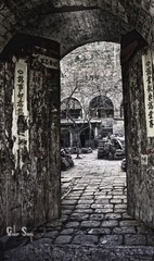 20110626 yard