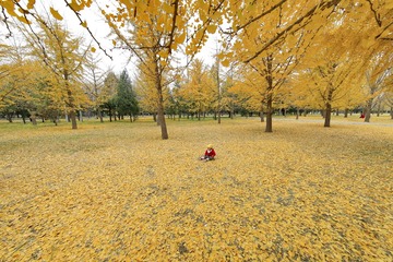 自画像 me alone