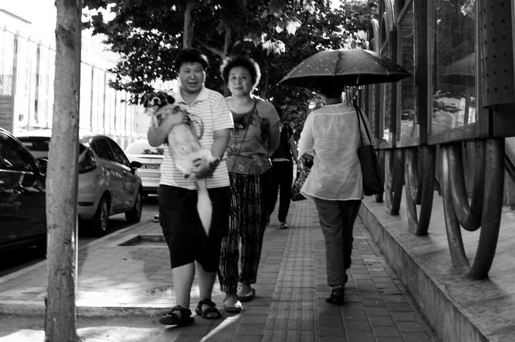爱我，你就抱抱我
