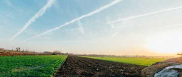 DSC_3787-Pano