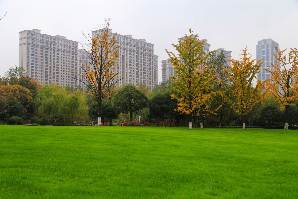 初秋的王家墩公园气候宜人景色悦目