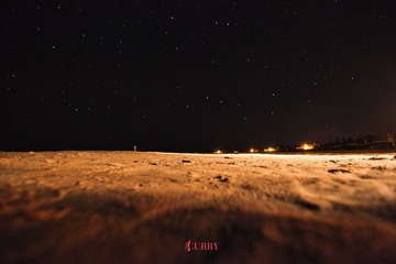 IMG_7195.jpg