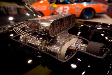 _MG_1481.jpg