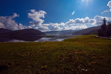 _MG_8559.jpg