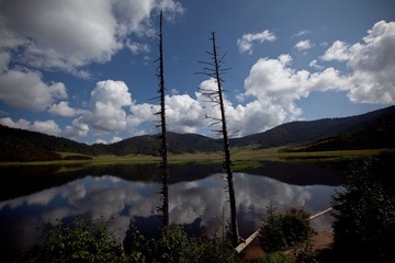 _MG_8639.jpg