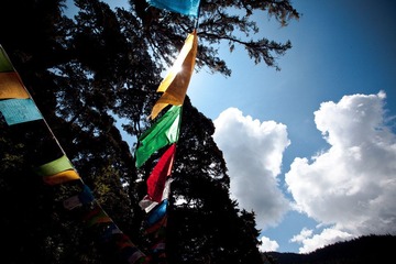 _MG_8685.jpg
