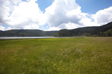 _MG_8748.jpg