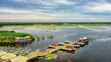 _DSC2855