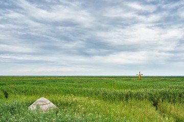 _DSC2879