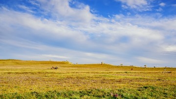 _DSC3004