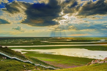 _DSC3009