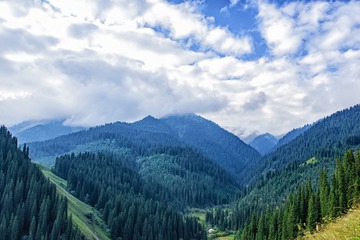 _DSC3102