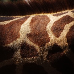 20111008-IMGP9245