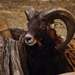 20111008-IMGP9253