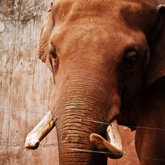 20111008-IMGP9247