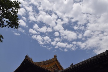 灯