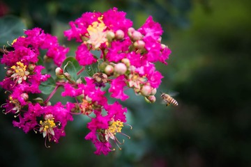 _DSC0094
