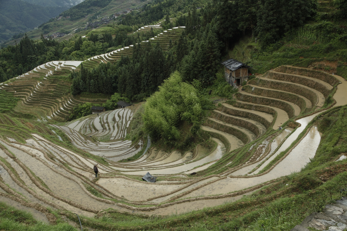 龙脊梯田