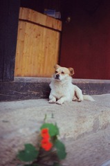 54010009=.jpg