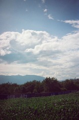 54010012=.jpg
