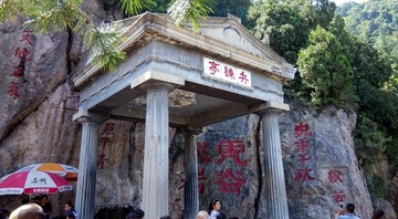 肥猫