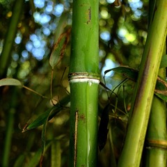 DSCF2749 