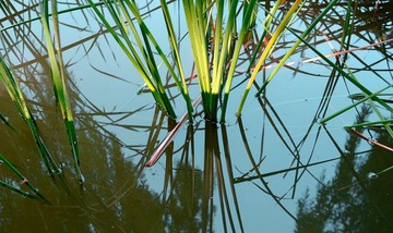 DSCF2824 