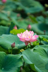 20150901-DSC03511