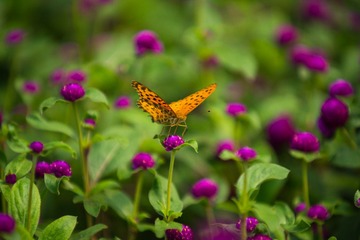 20150901-DSC03506