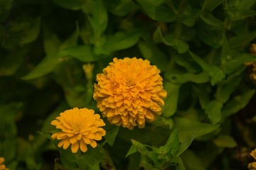 20150901-DSC03487