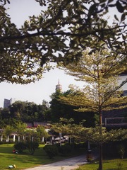 2742B6B7-05F5-4938-A6EF-5DAC6C7DB735/L0/001