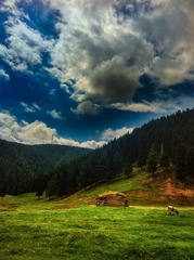 IMG_1692-2