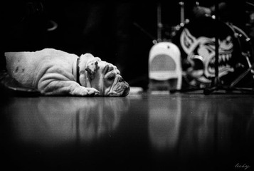 IMG_0010-2g